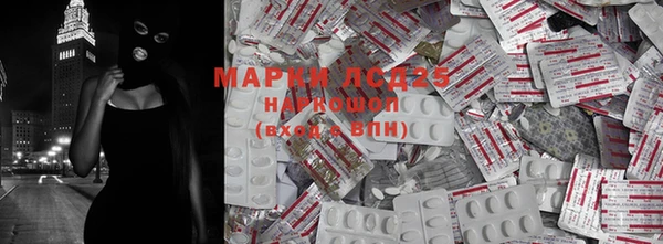 ГАЛЛЮЦИНОГЕННЫЕ ГРИБЫ Киренск
