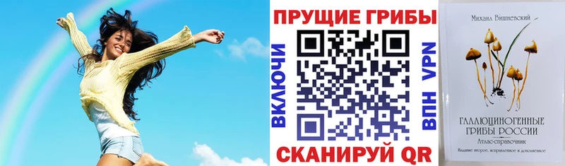 Купить где  Менделеевск  Галлюциногенные грибы ЛСД 